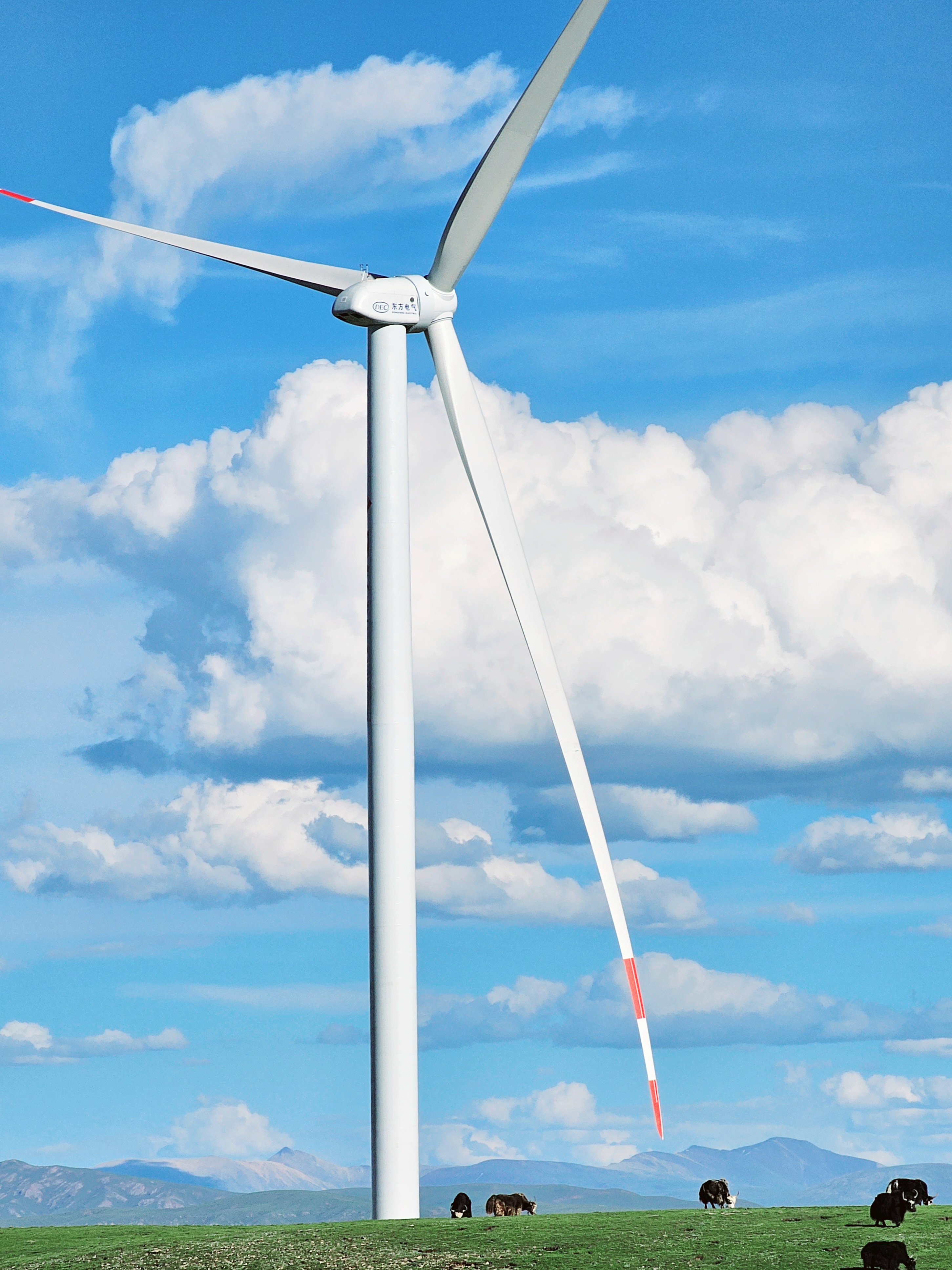 1698894070011045202.jpg LETOU - 乐投(中文)官方网站